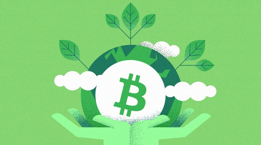 Energy Auditing and Transparency in Green Cryptocurrency Networks